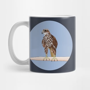 Saker Falcon Mug